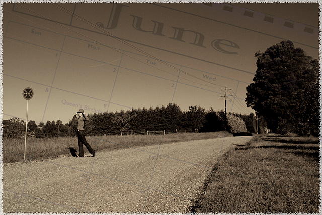 Image17 - Stranded in June