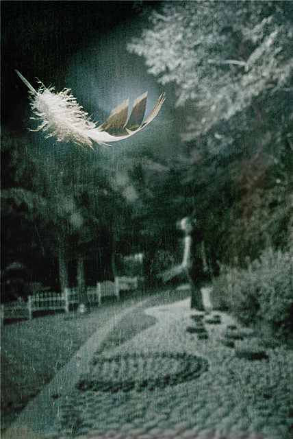 Image24 - Creep