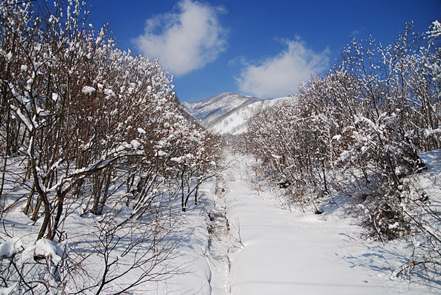 pathways