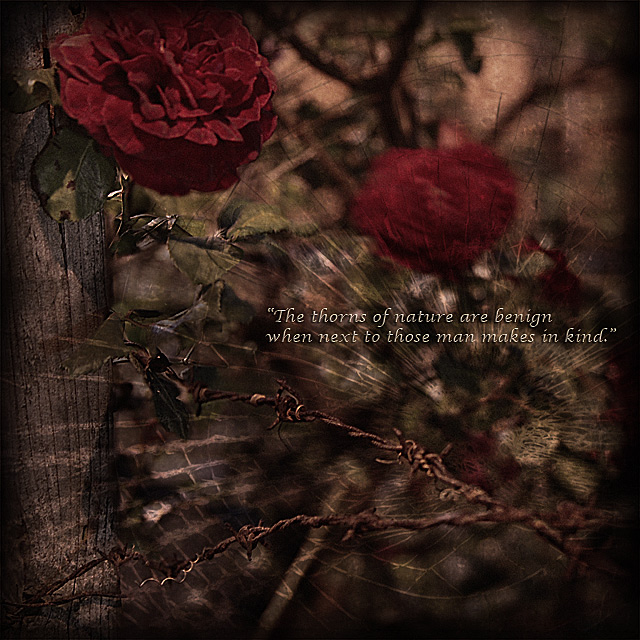 05 nature vs. man
