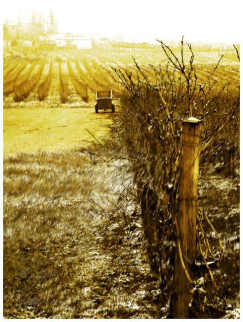 Chateau Haut Rian