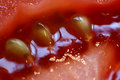 Yuk! Macro Tomato IMG_0271adpcrop.jpg