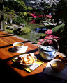 Tea and Cookies