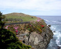 Mendocino Botanical Garden
