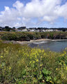 Mendocino Village