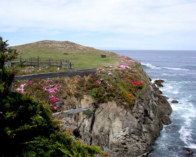 Mendocino Botanical Garden