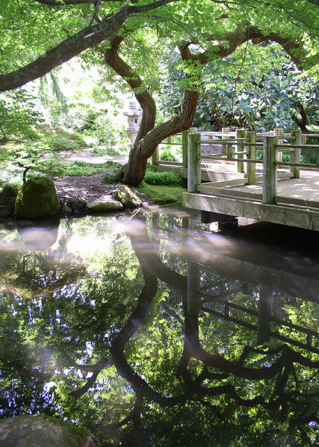 Moon Garden