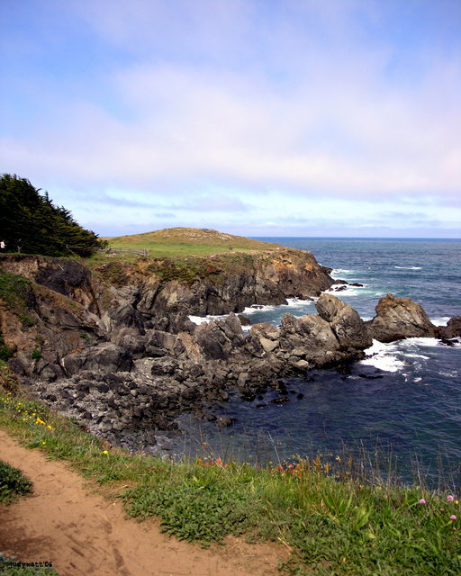 Mendocino Coast