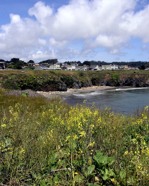 Mendocino Village