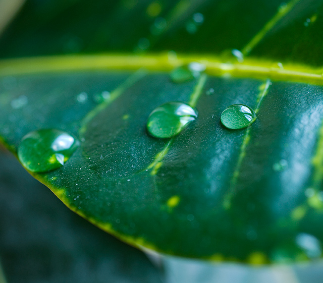 waterdroplet1.jpg