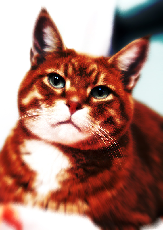 jdubs-pic.jpg