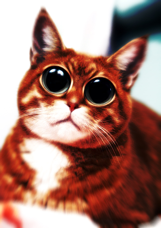 jdubs2.jpg
