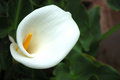 DSC_8340.jpg