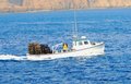 Lobster Fisherman