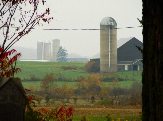 Foggy Pa.Morn