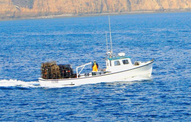 Lobster Fisherman