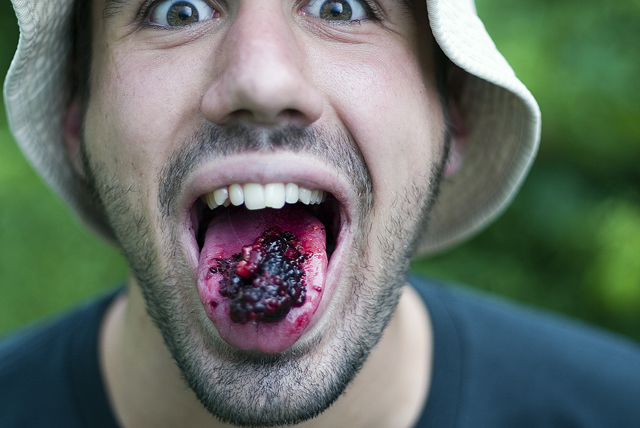 Eric--Wildberries.jpg