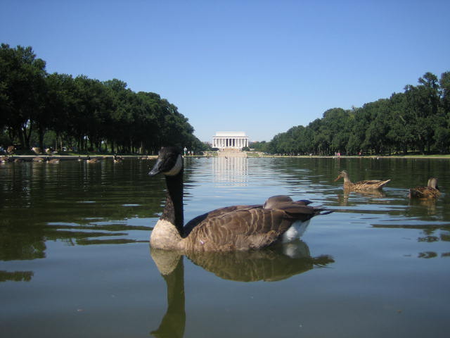 DC 052.jpg