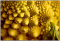 ' . substr('//images.dpchallenge.com/images_portfolio/55000-59999/58610/120/642583.jpg', strrpos('//images.dpchallenge.com/images_portfolio/55000-59999/58610/120/642583.jpg', '/') + 1) . '