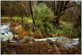 ' . substr('//images.dpchallenge.com/images_portfolio/55000-59999/58610/120/642601.jpg', strrpos('//images.dpchallenge.com/images_portfolio/55000-59999/58610/120/642601.jpg', '/') + 1) . '