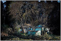 ' . substr('//images.dpchallenge.com/images_portfolio/55000-59999/58610/120/643575.jpg', strrpos('//images.dpchallenge.com/images_portfolio/55000-59999/58610/120/643575.jpg', '/') + 1) . '
