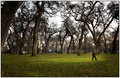 ' . substr('//images.dpchallenge.com/images_portfolio/55000-59999/58610/120/645854.jpg', strrpos('//images.dpchallenge.com/images_portfolio/55000-59999/58610/120/645854.jpg', '/') + 1) . '