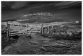 ' . substr('//images.dpchallenge.com/images_portfolio/55000-59999/58610/120/647379.jpg', strrpos('//images.dpchallenge.com/images_portfolio/55000-59999/58610/120/647379.jpg', '/') + 1) . '