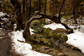 ' . substr('//images.dpchallenge.com/images_portfolio/55000-59999/58610/120/652369.jpg', strrpos('//images.dpchallenge.com/images_portfolio/55000-59999/58610/120/652369.jpg', '/') + 1) . '
