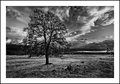 SkywaySutterButteSunset2B&Wdpc1.jpg