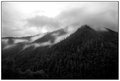 Weaverville-Fog-1Web.jpg