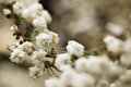 MinimalDay15.2Web.jpg