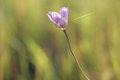 MinimalDay21.1Web1