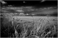 Sutter Buttes