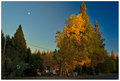 Fall Colors With Moon
