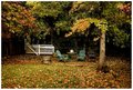Fall Colors