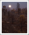 Full moon over Skyway burn