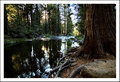 Butte Creek