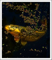 Carp 2