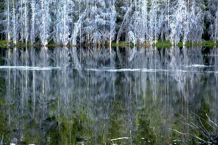 HatLakeWeb.jpg