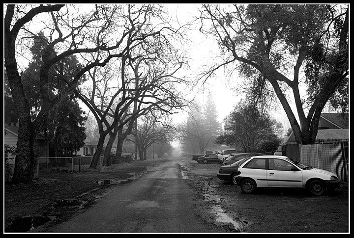FoggyDay3Web.jpg