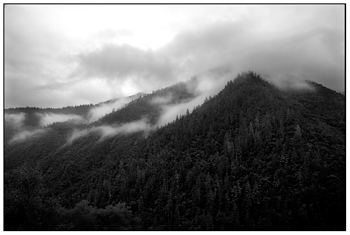 Weaverville-Fog-1Web.jpg