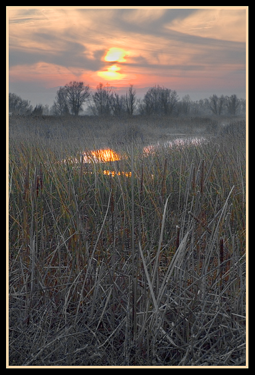 Graylodge-2-Web.jpg