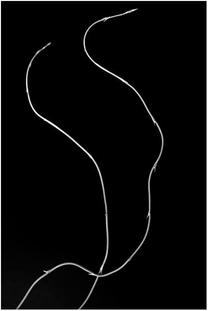 MinimalDay16EditedWeb1.jpg