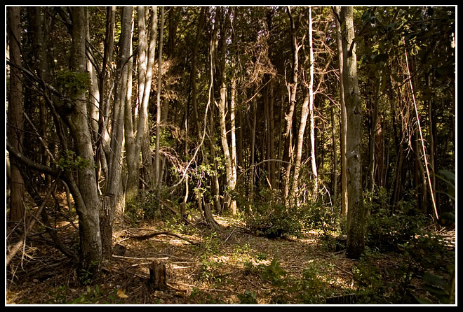MinimalDay28Edited