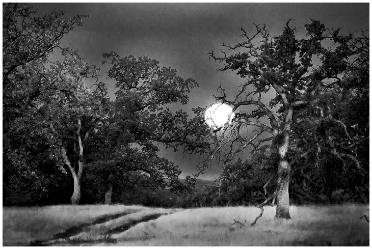 Neil Rd Moonset