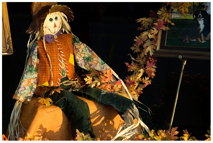 Halloween Store Window