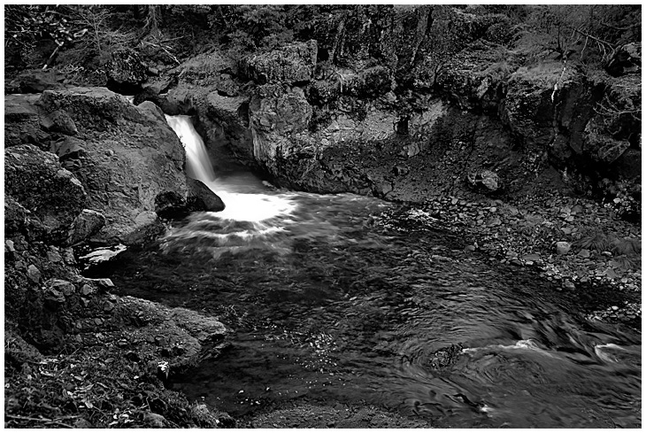 DearCreekB&W6Web1.jpg