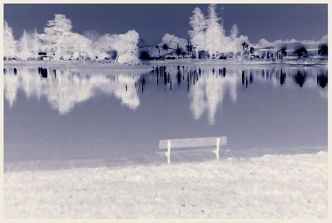 Water and bench