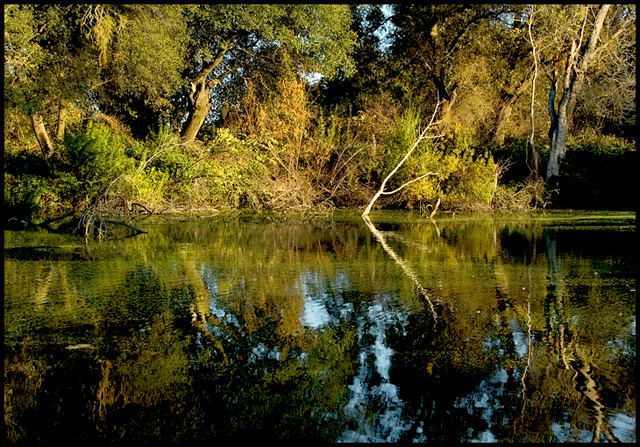 Township Pond