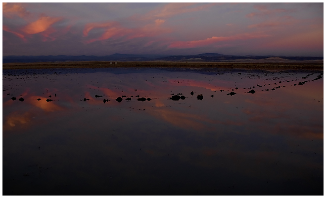 Rice Pond Sunset
